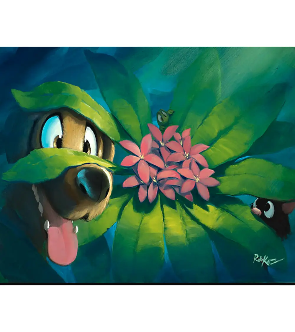 Hide And Seek By Rob Kaz 1