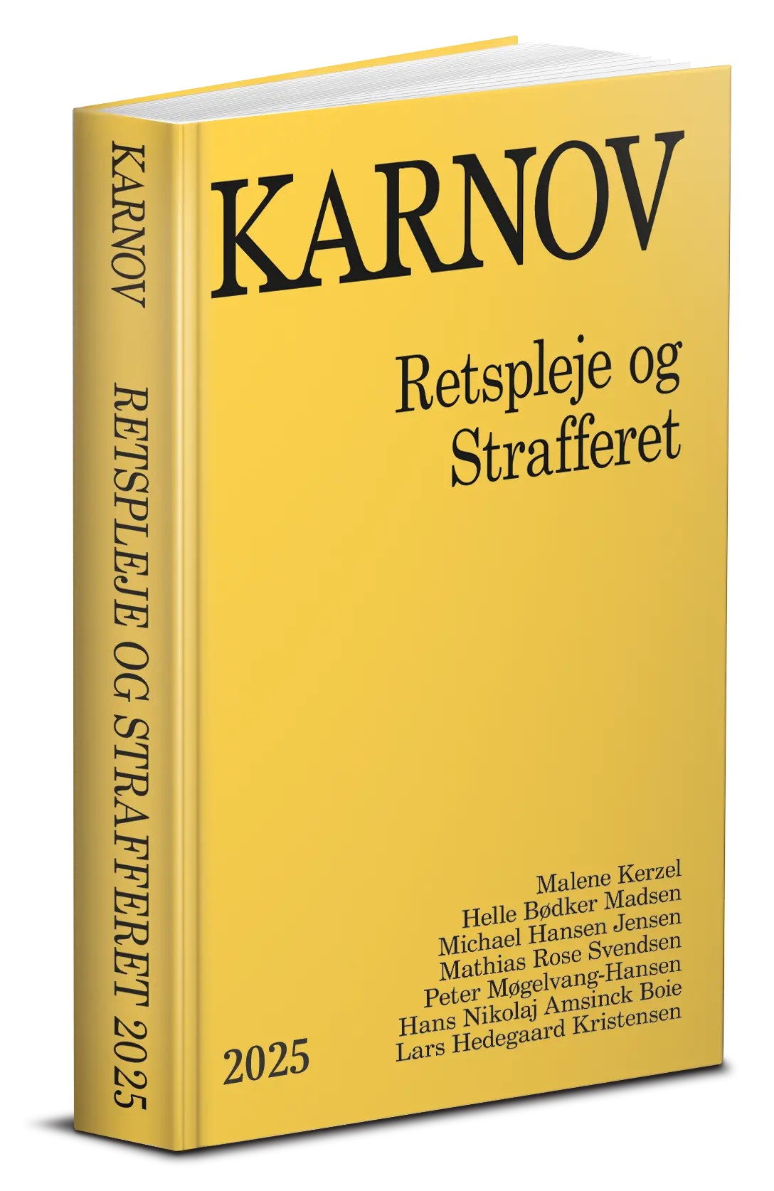 Retspleje Og Strafferet 2025 1
