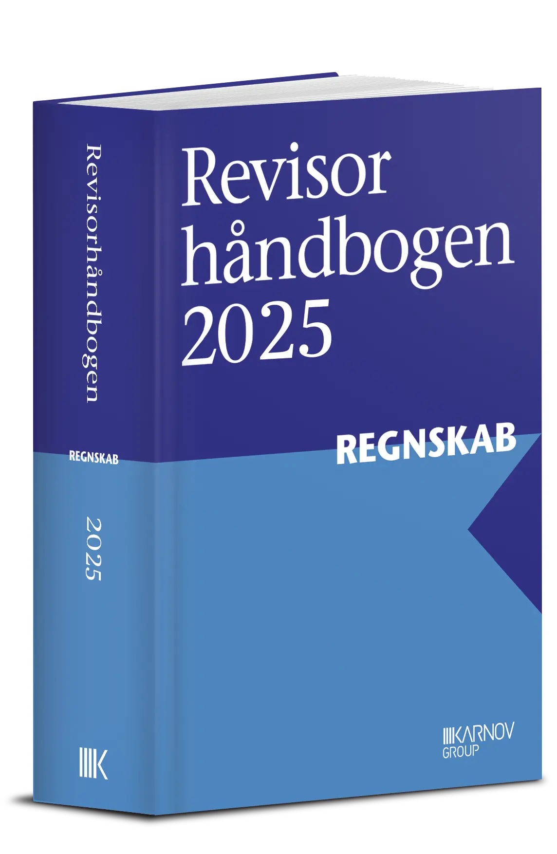 Revisorhåndbogen 2025 - Regnskab 1