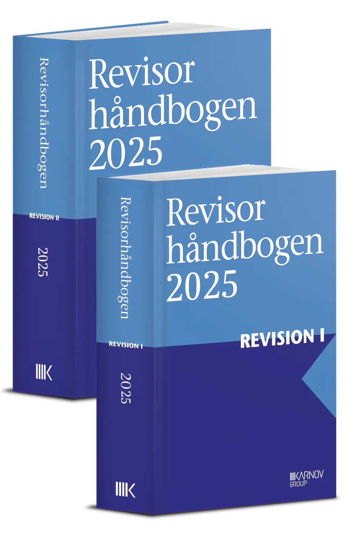 Revisorhåndbogen 2025 - Revision 1