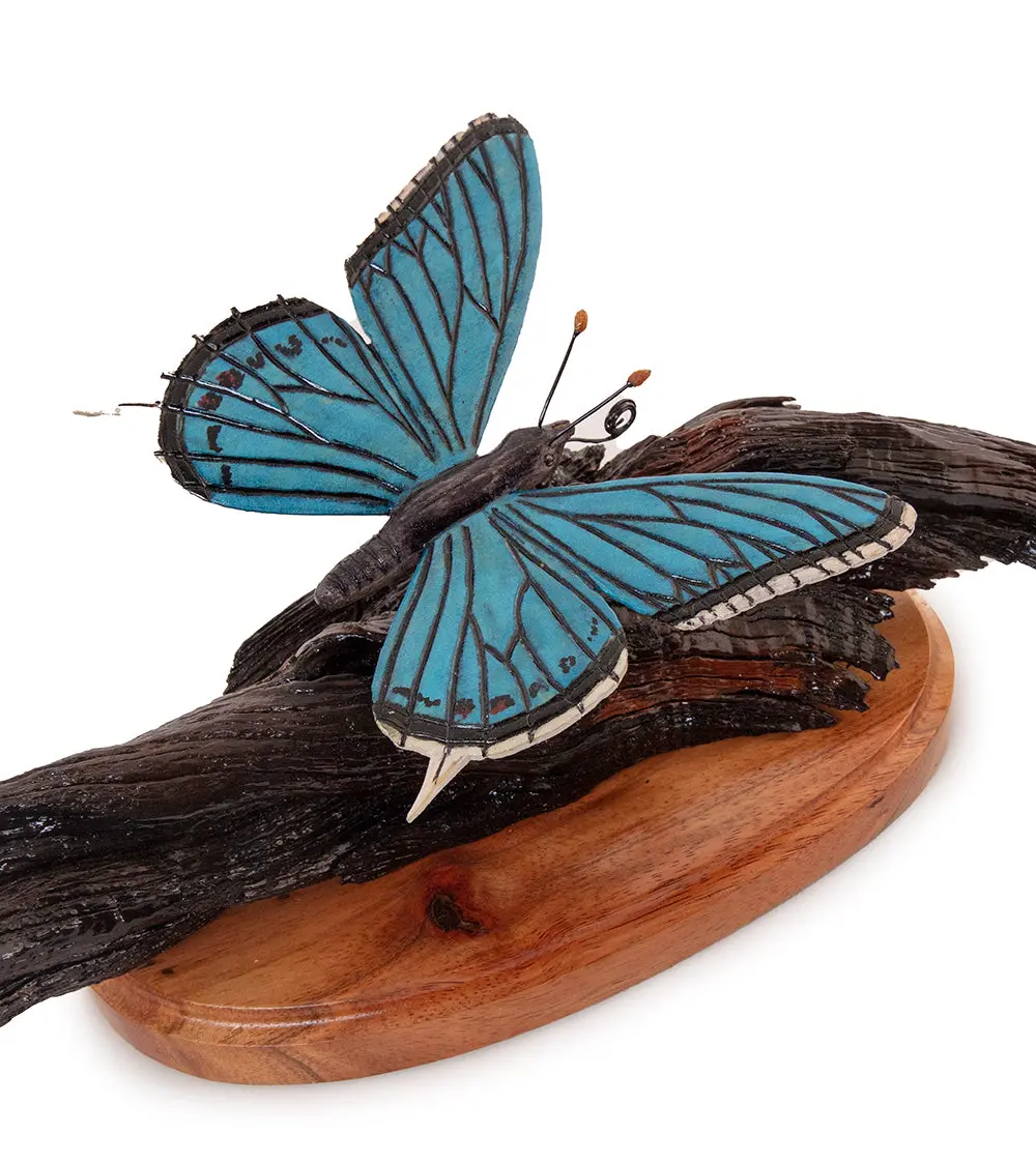 Wood Sculpture "Kamehameha Butterfly #33" By Craig Nichols 1