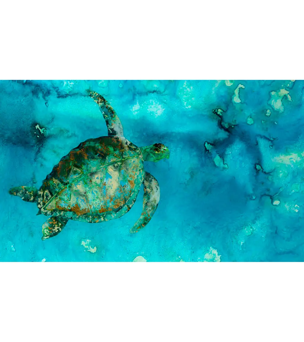 Limited Edition Acrylic Print "Maui" By Josh Serafin 1