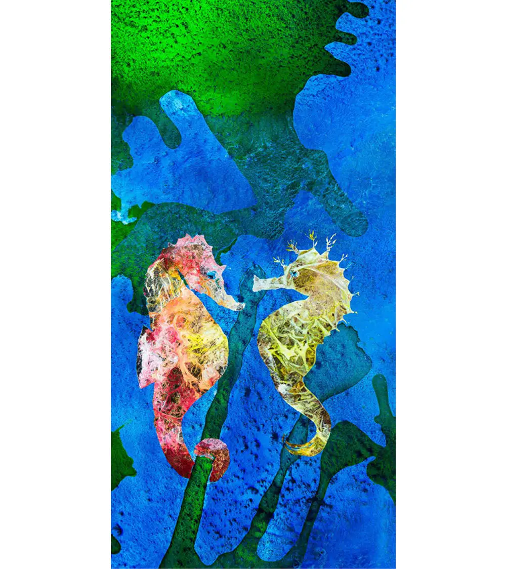 Limited Edition Acrylic Print "Sea Secrets" By Josh Serafin 1