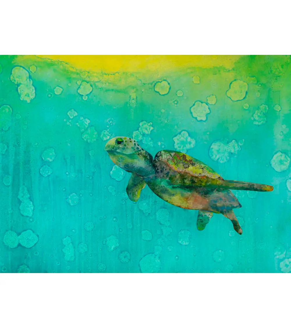 Limited Edition Acrylic Print "Sunny" By Josh Serafin 1