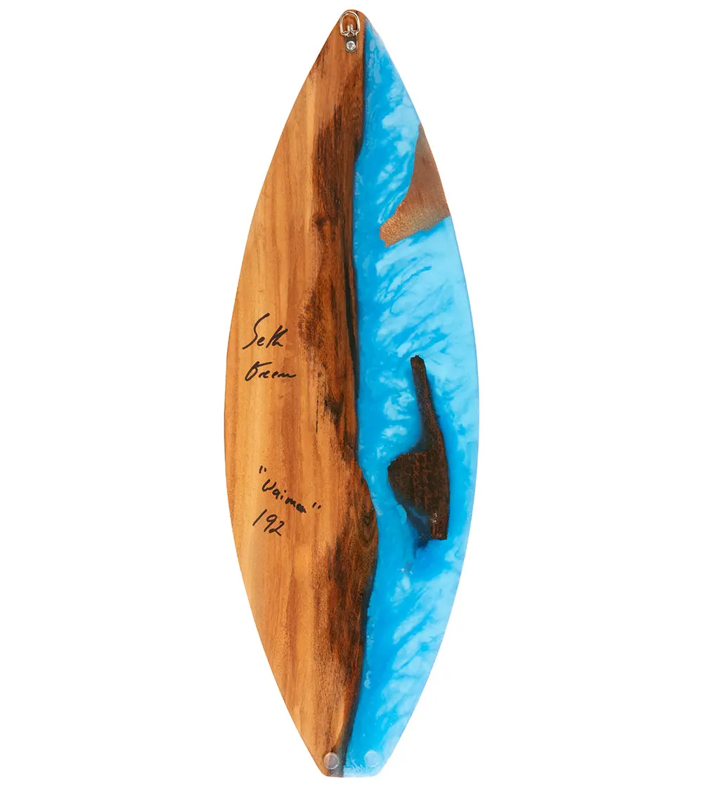 24" Surfboard "Waimea 192" 2