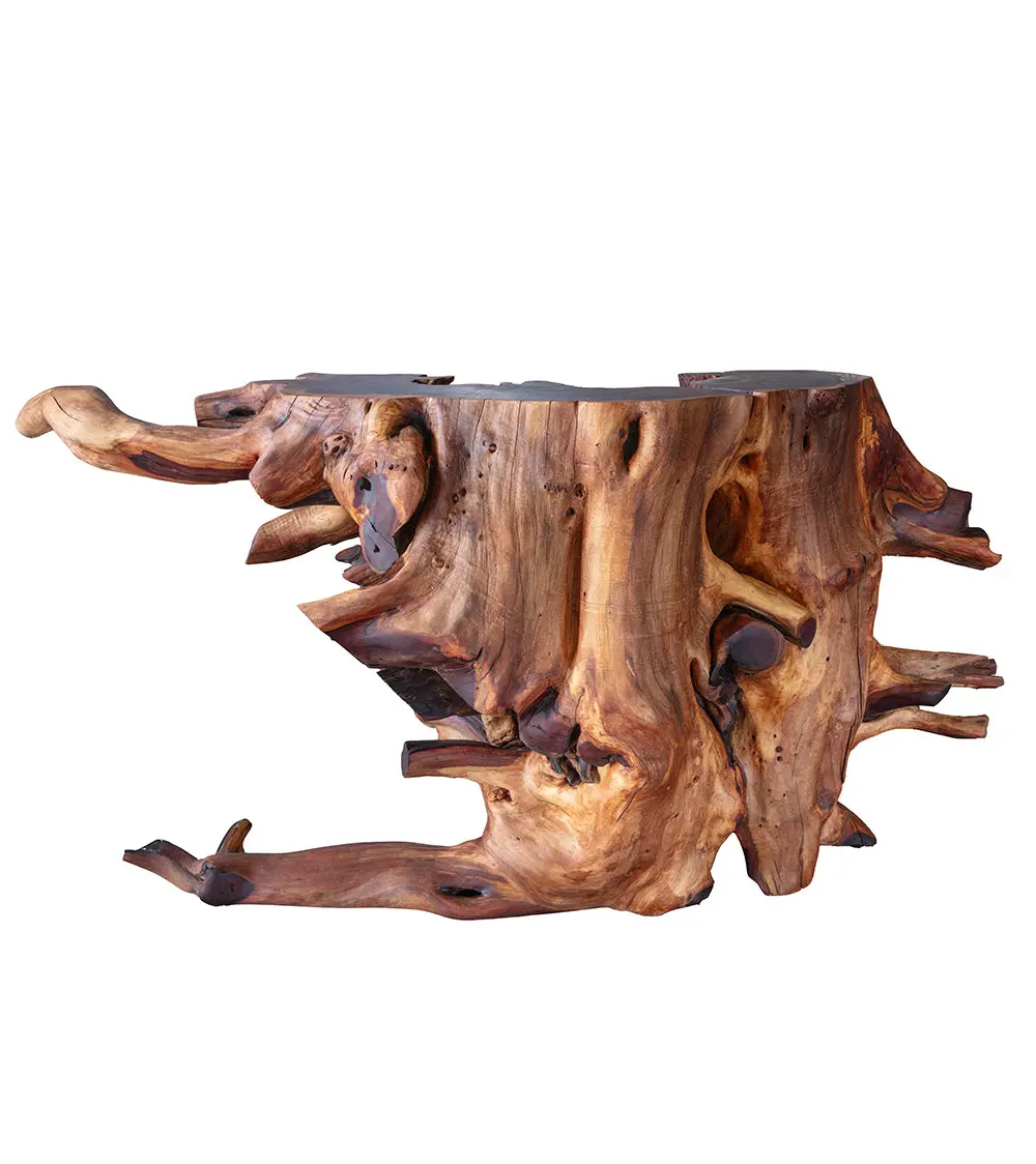 Root Ball Console Table 1