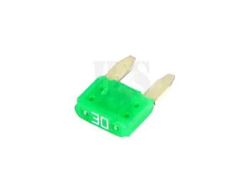 Systema 30Amp Fuse For P.T.W. (Pack Of 2) 1