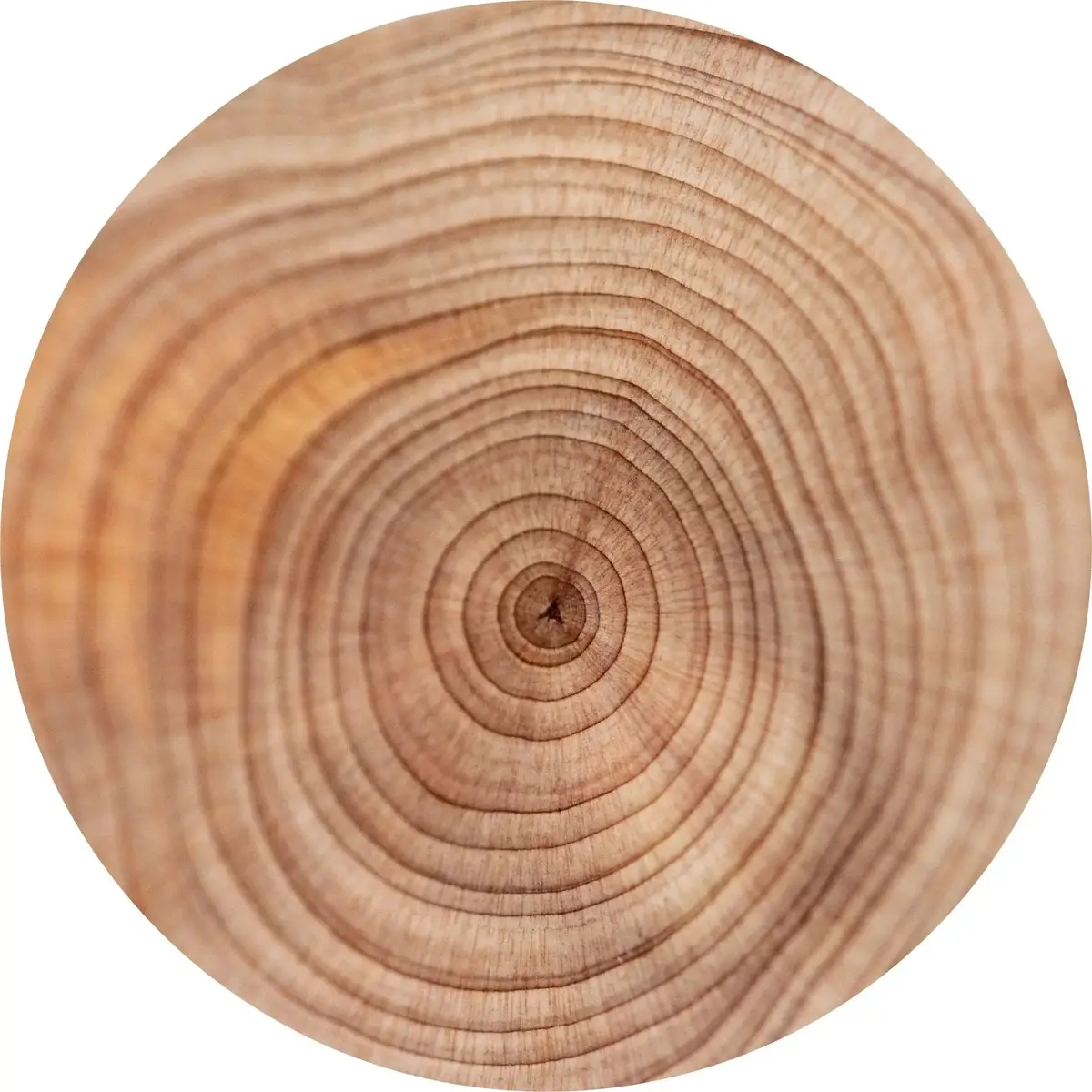 Traditional Sandalwood Essential Oil – Organic Mysore Sandalwood From India 2