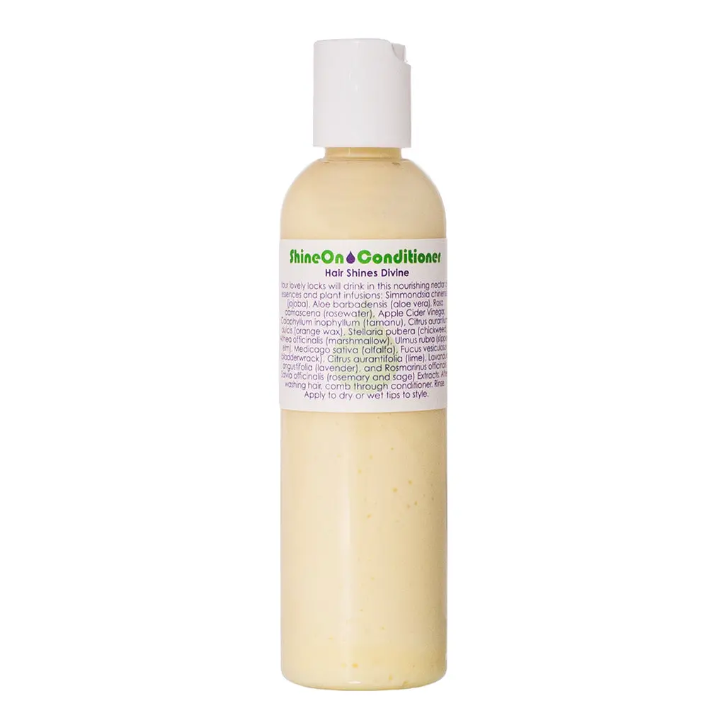 Shine On Conditioner 2
