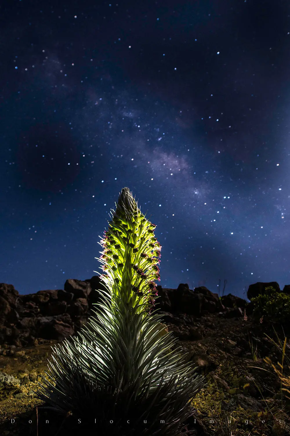 Silver Sword Night Vision By Don Slocum 1