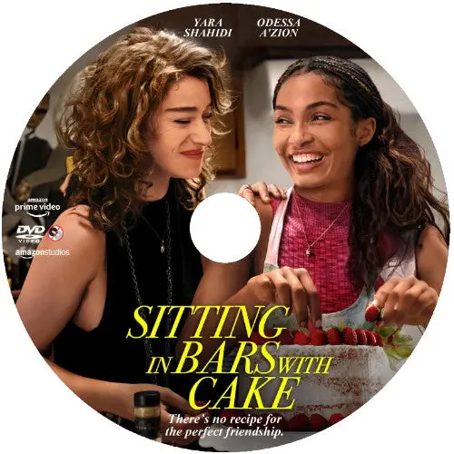 Sitting In Bars With Cake Dvd Movie 2023 1