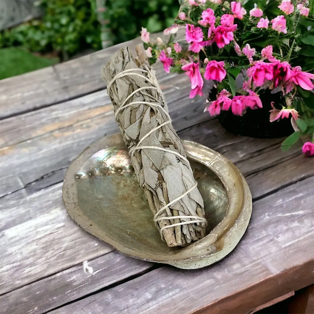 Cleanse & Smudge It Set 1