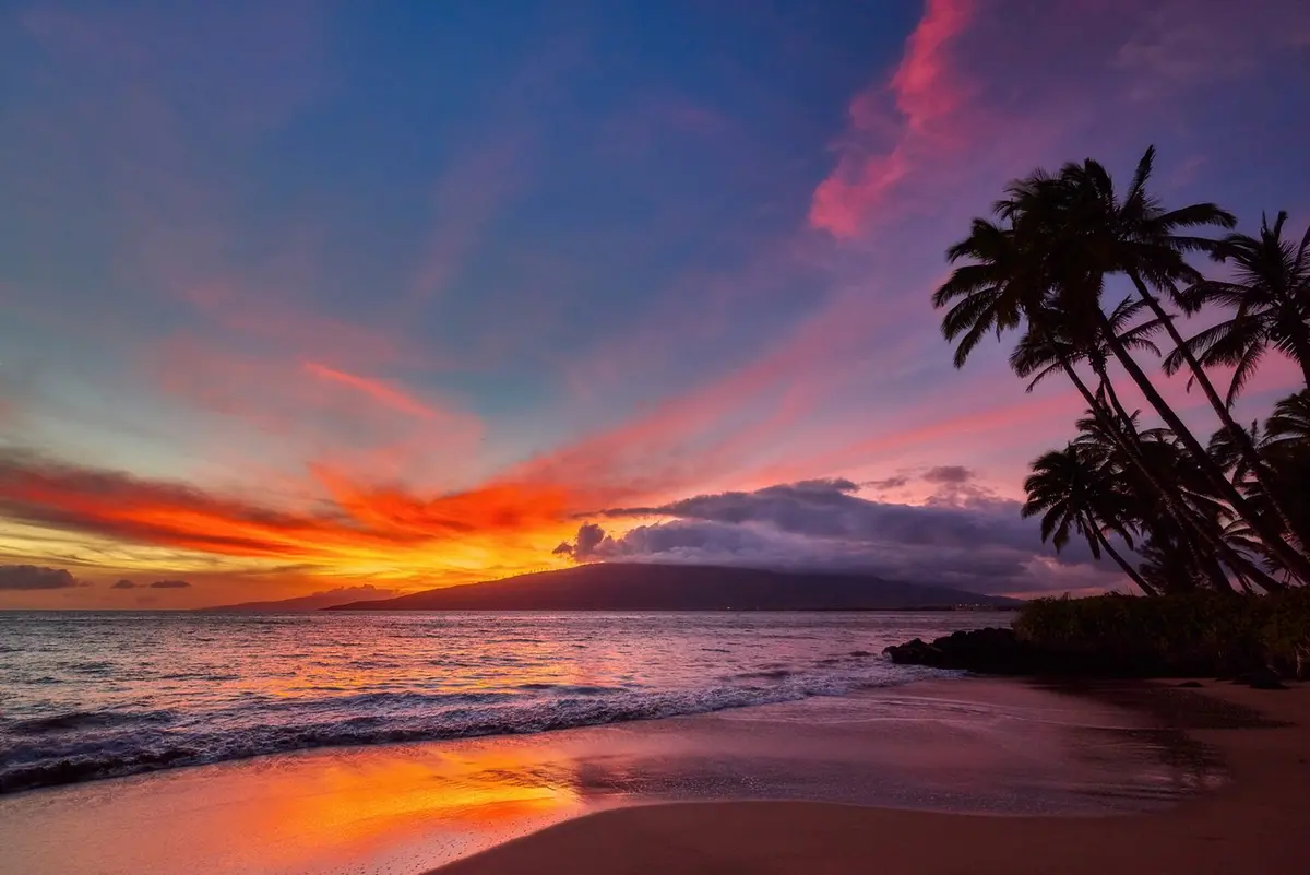 South Maui Bliss By Andrew Shoemaker 1