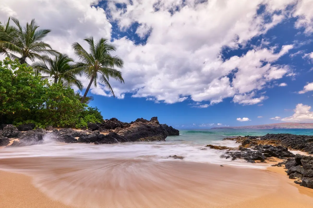 Summer Vibes By Andrew Shoemaker 1