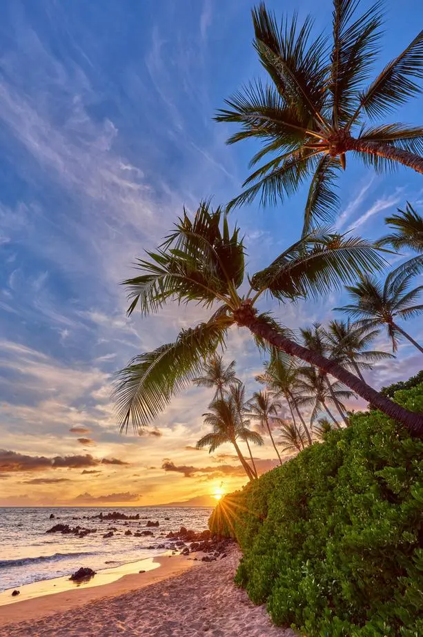 The Last Rays By Andrew Shoemaker 1
