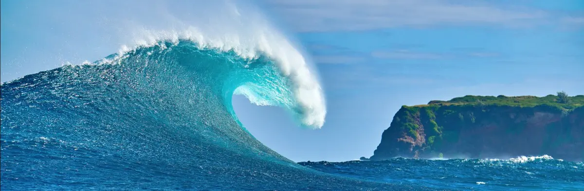 Tsunami By Andrew Shoemaker 1