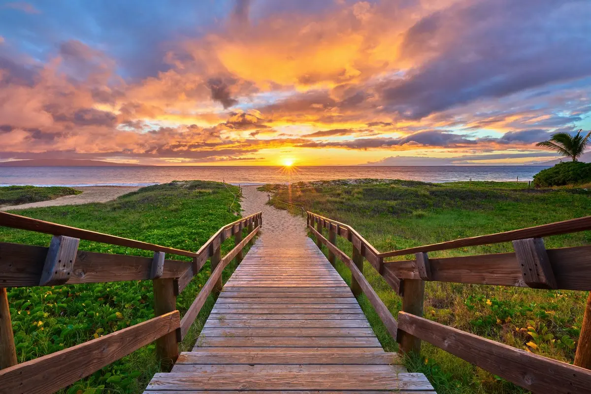 Walk The Walk By Andrew Shoemaker 1