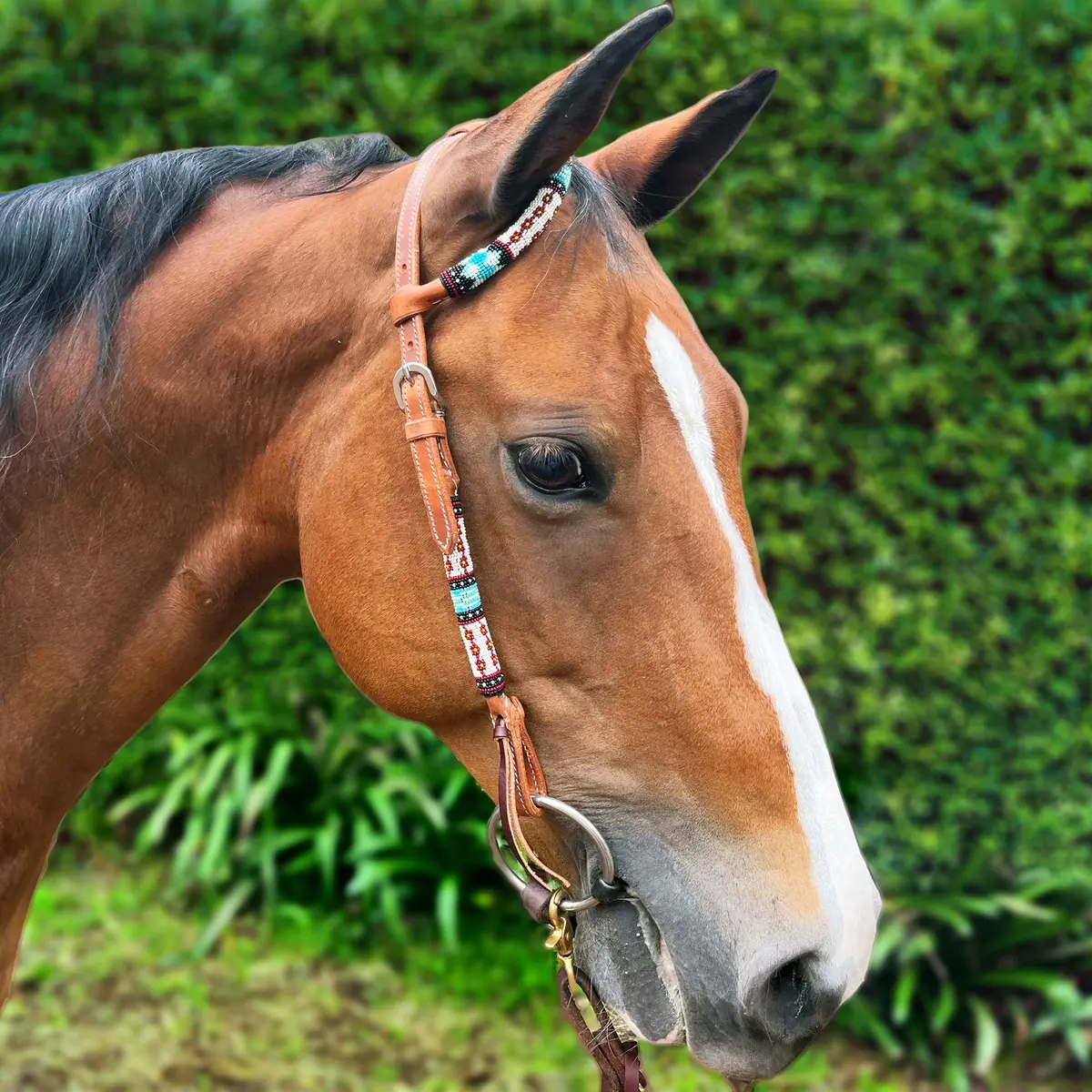 Ezy Ride Bridle One Ear With Blue Beaded Accent 1