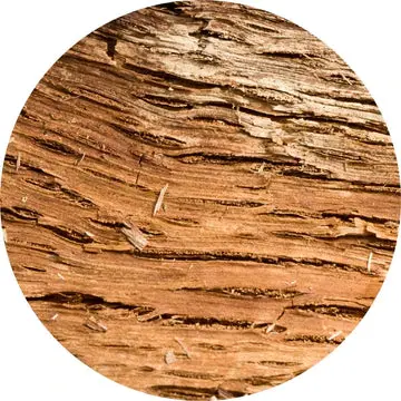 Balsam Amyris Essential Oil - Living Libations 1