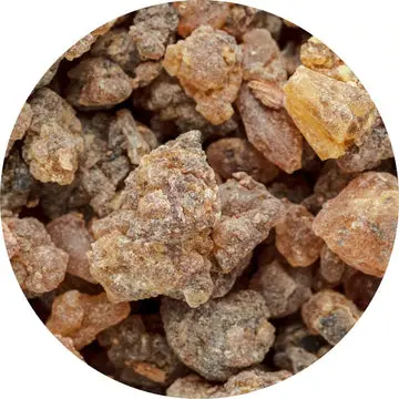 Benzoin Essential Oil - Living Libations 1