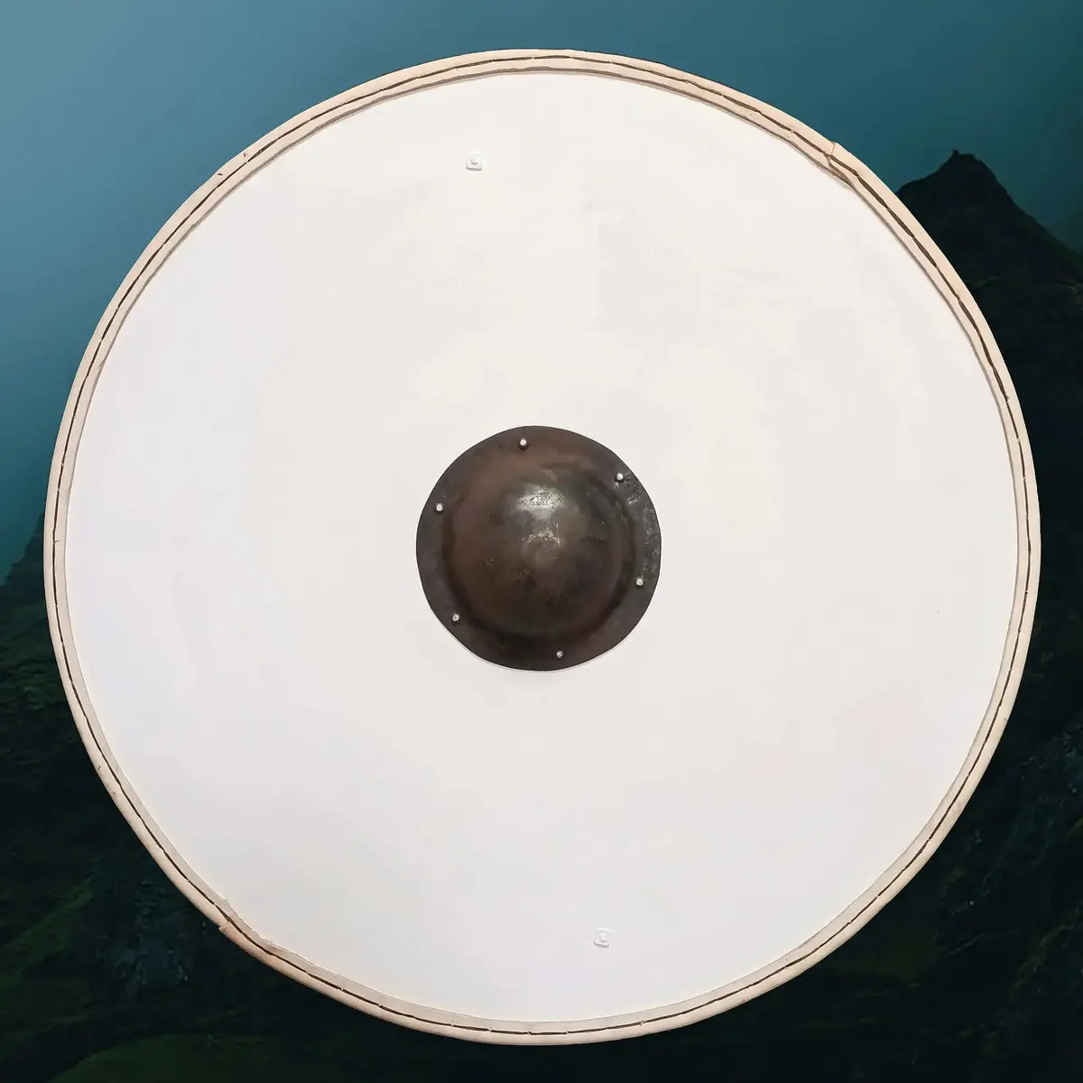 Viking Re-Enactment Shield 1