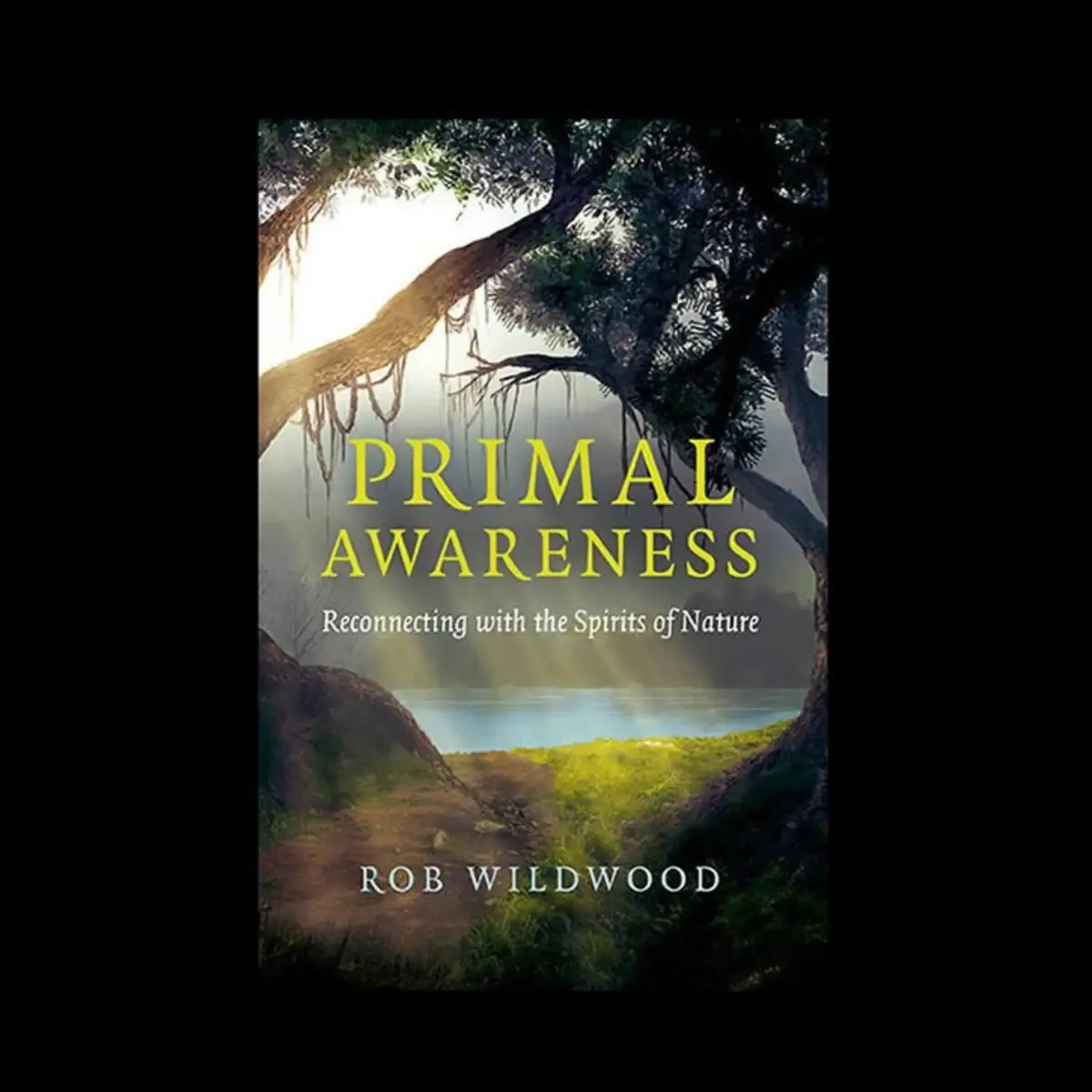Primal Awareness Book By Rob Wildwood 1