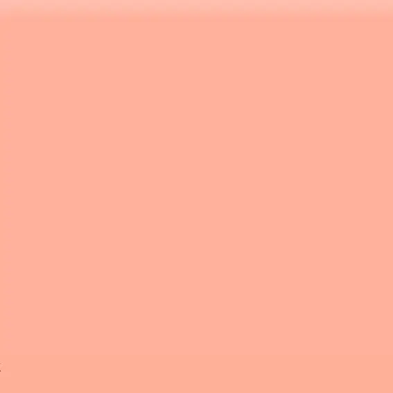 Peachy Vegan Blush Stick – 14G | River Organics 2