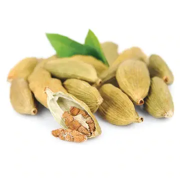 Cardamom Essential Oil - Living Libations 1