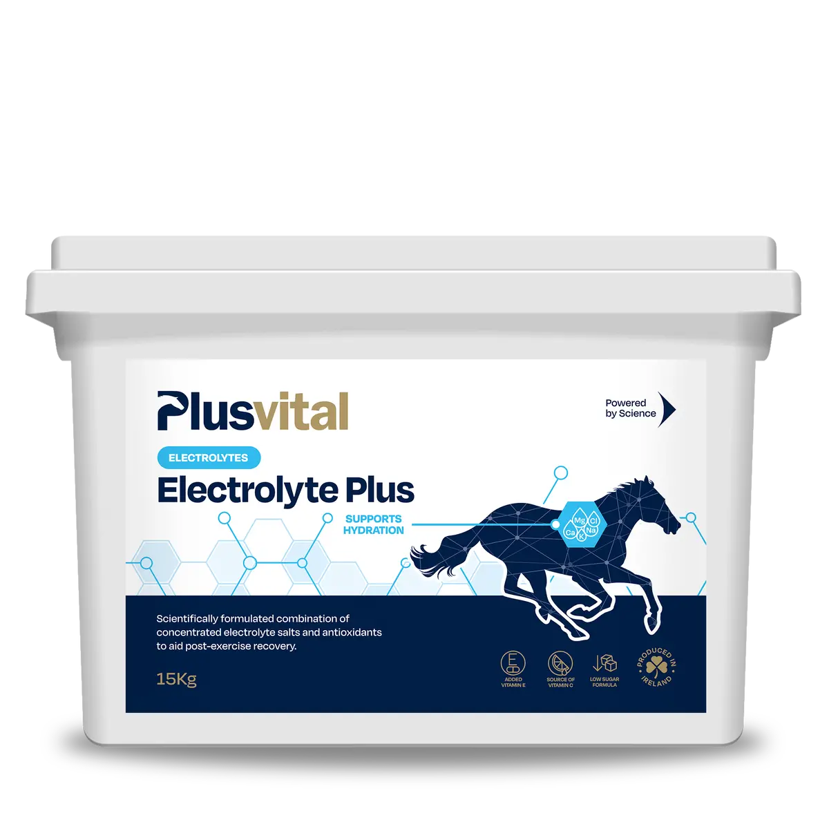 Plusvital Electrolyte Plus 15Kg 1