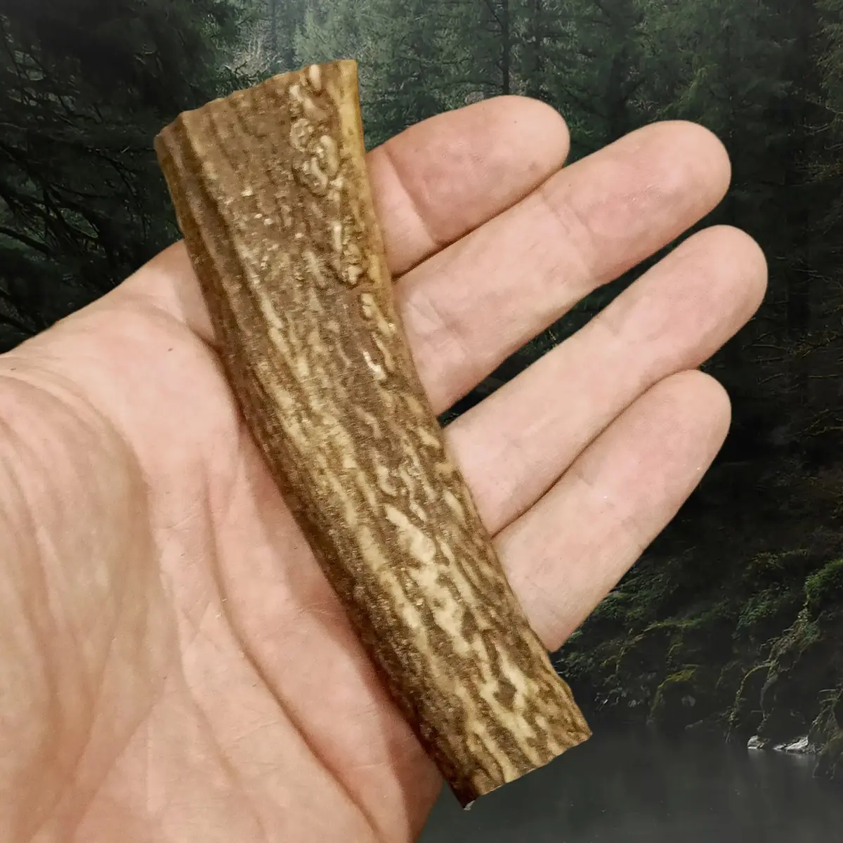 Scottish Stag Antler Roll 1