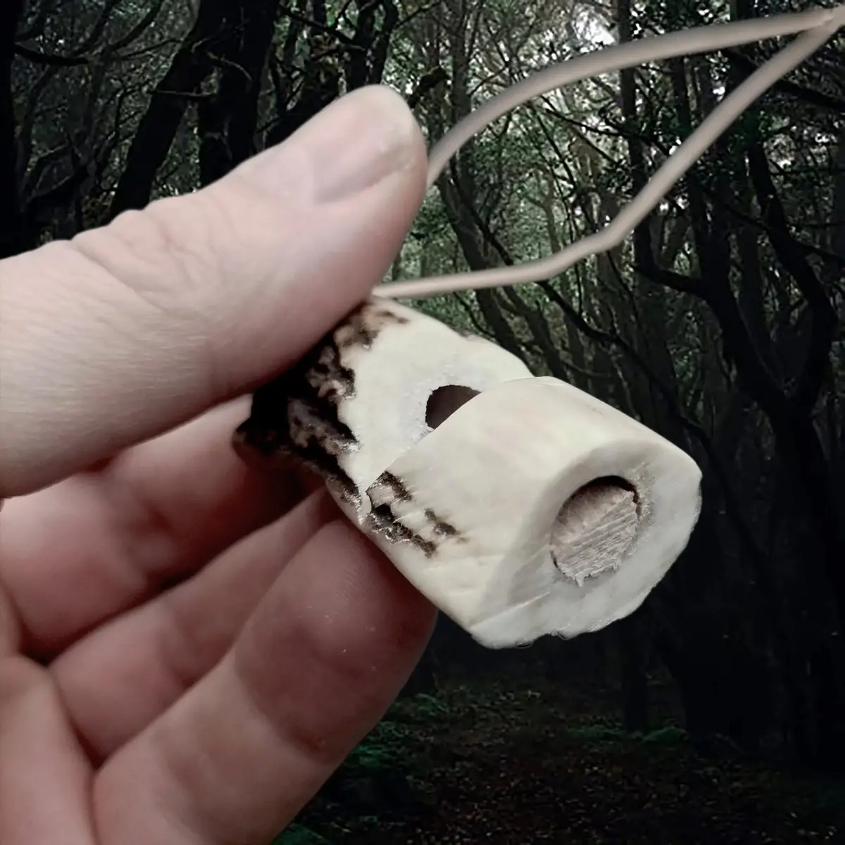 Scottish Red Deer Handmade Antler Whistle 2