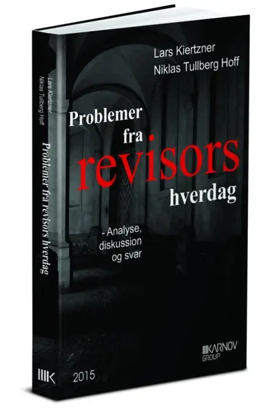 Problemer Fra Revisors Hverdag 1