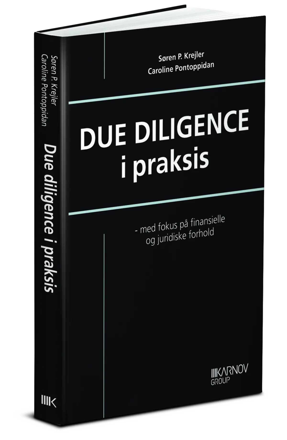 Due Diligence I Praksis 1