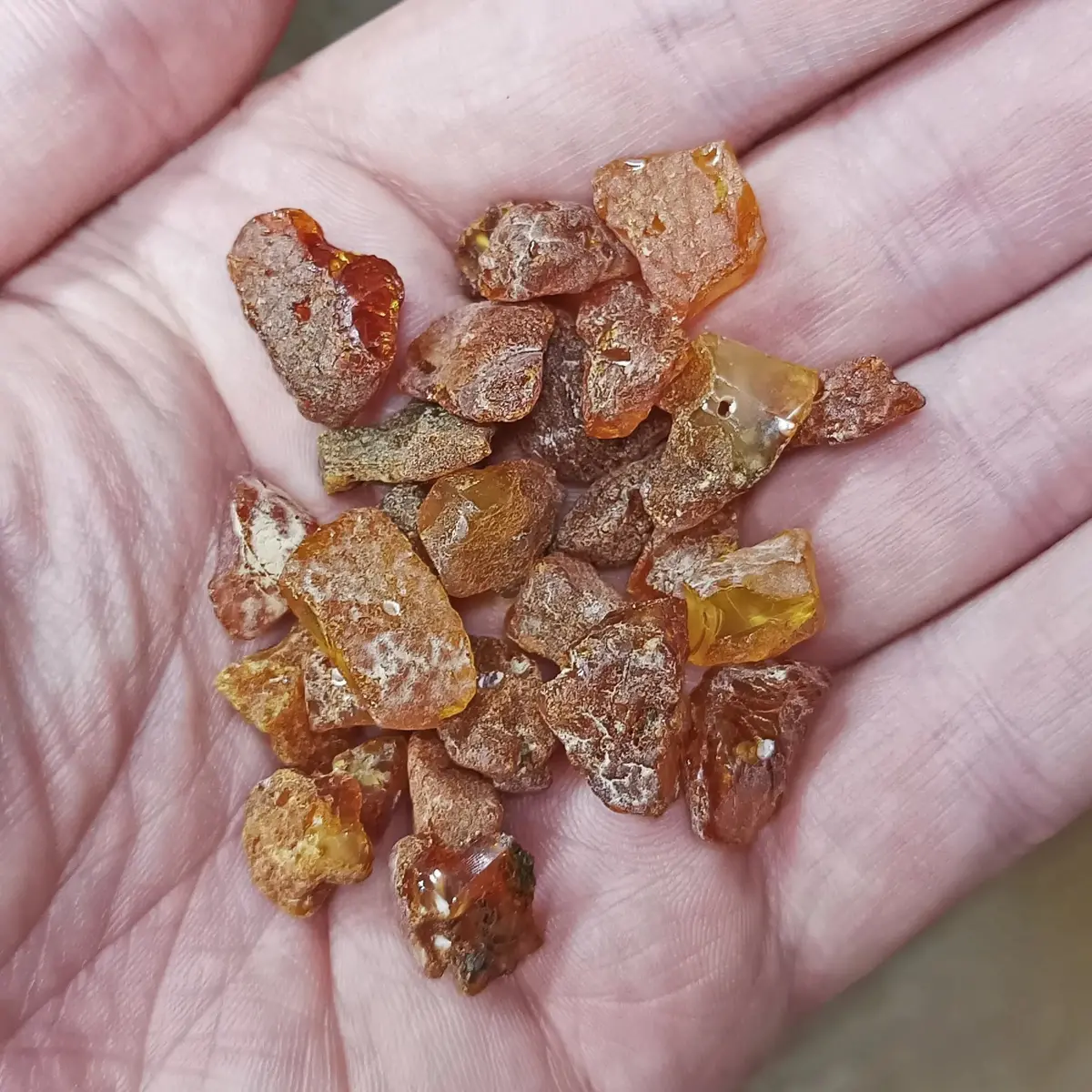 Unpolished Amber Chips / Beads With Drilled Holes 1