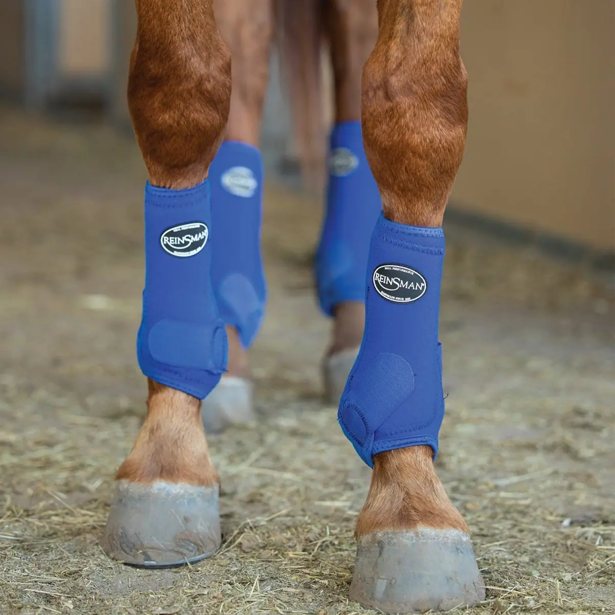 Reinsman Apex Sports Boots 4Pk 4