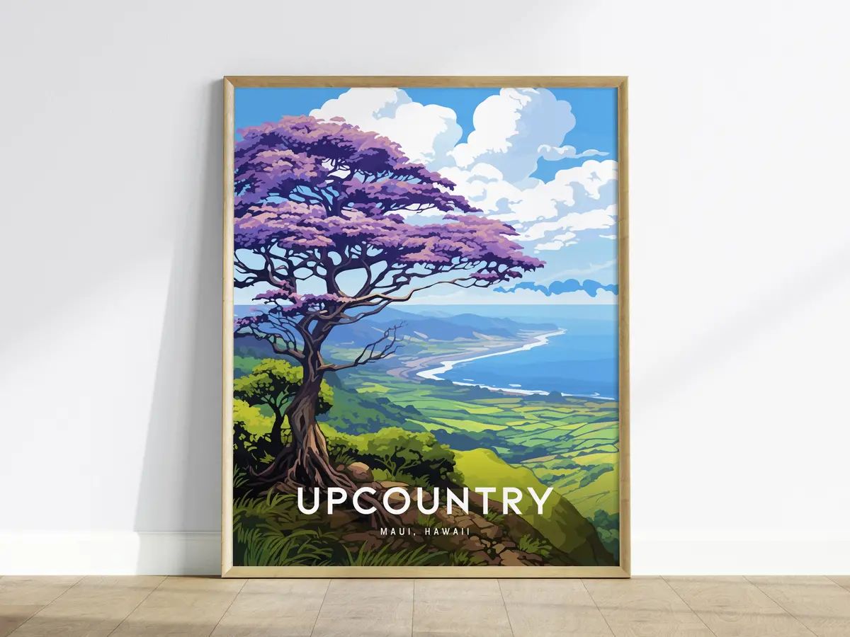 Upcountry Jacaranda, Maui, Hawaii 1