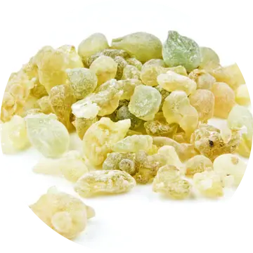 Frankincense Serrata Essential Oil - Living Libations 1