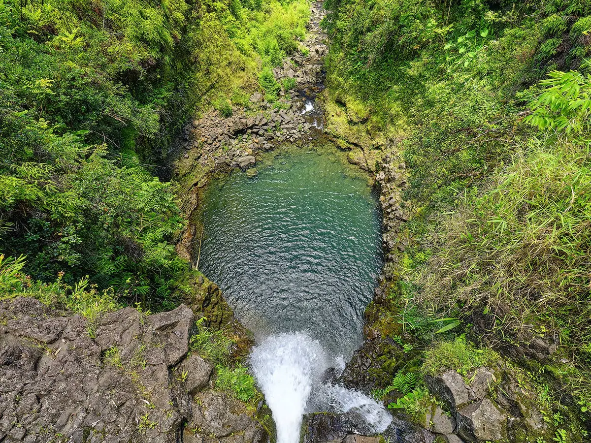 Free Fallin By Andrew Shoemaker 1