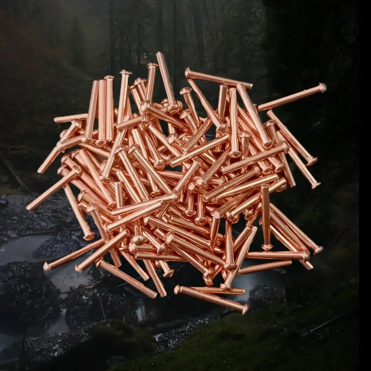 Dome Head Copper Rivets - 1/16 Inch X 1/2 Inch 2