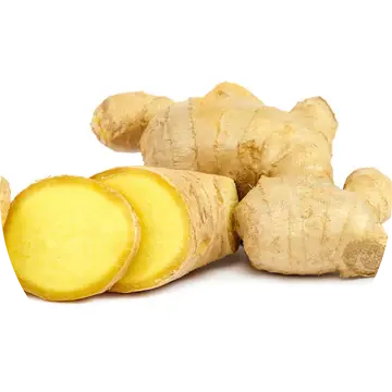 Ginger Root Essential Oil - Living Libations 1