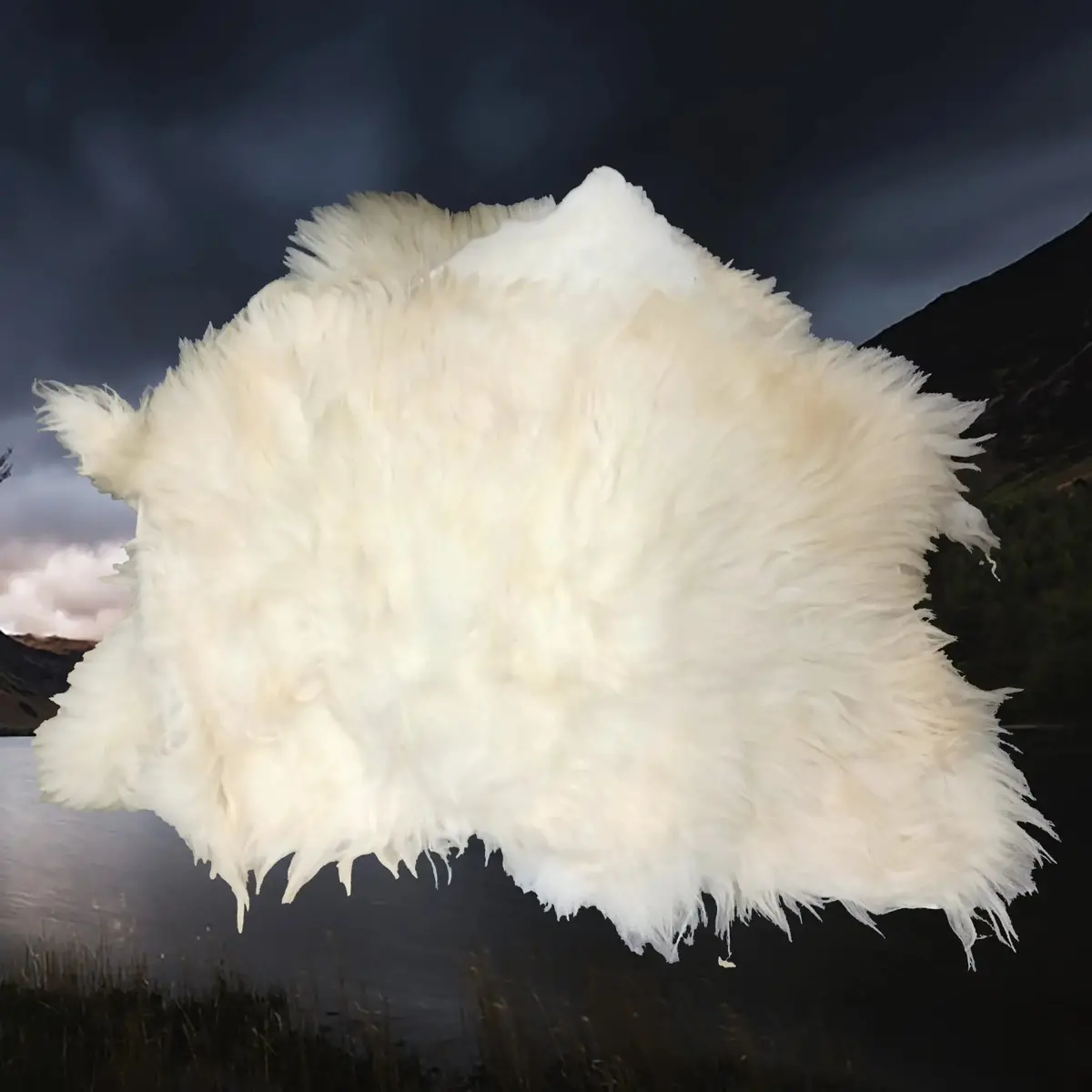 Full Sheep Skin Fleece From England, Uk. 1