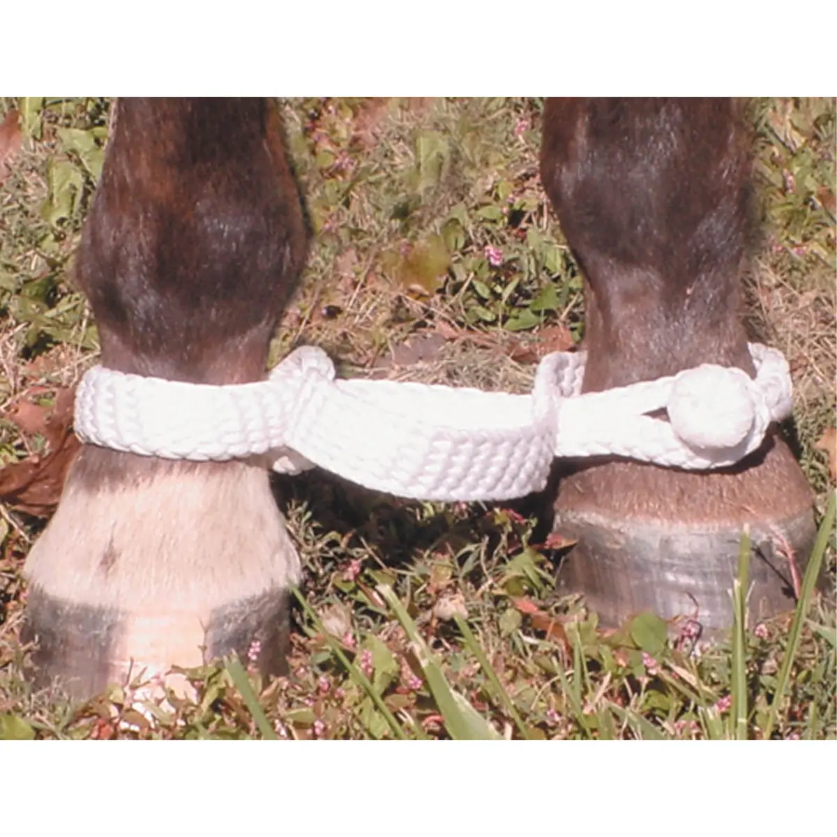 Ezy Ride Braided Hobble White 1