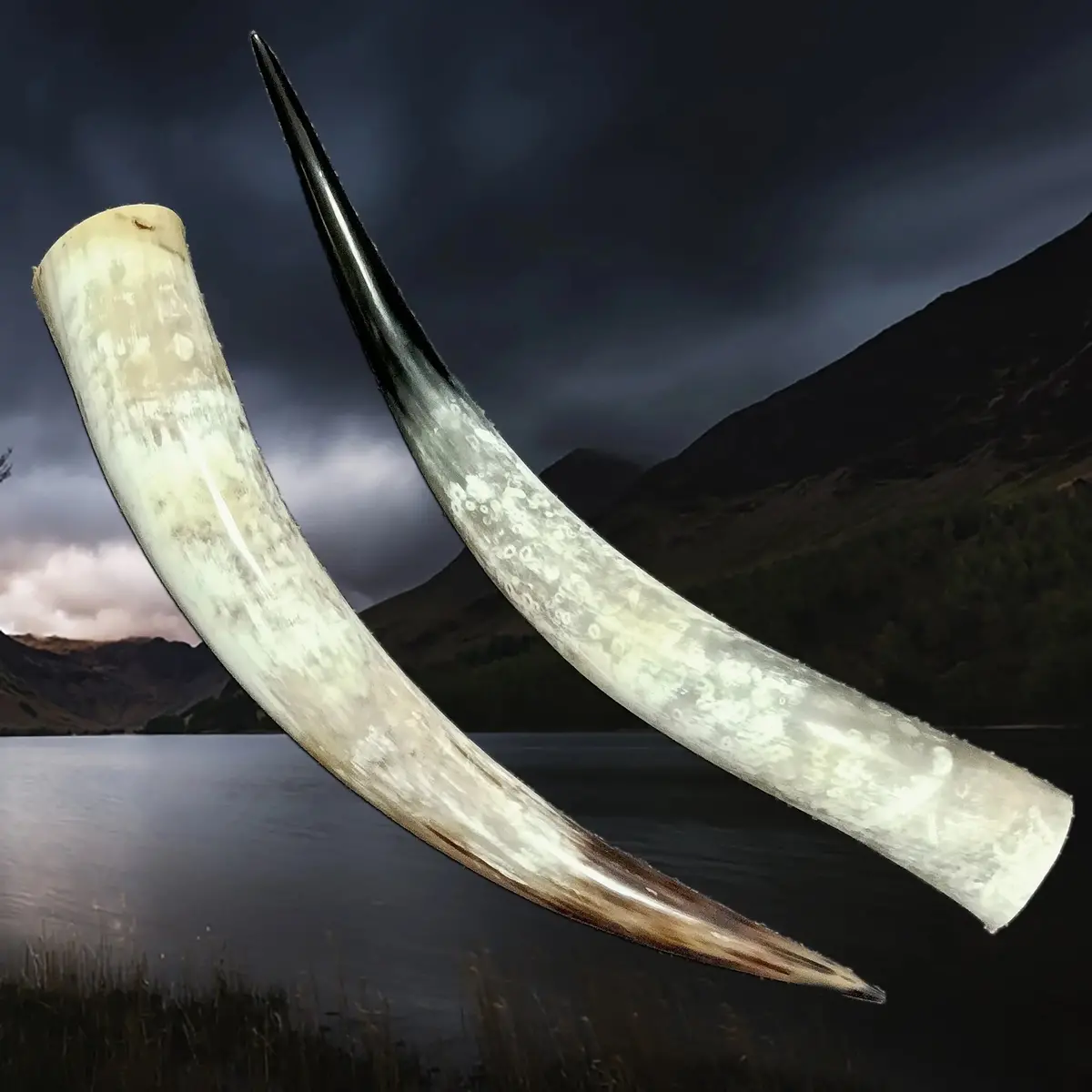 Xl Extra Long Polished Viking Drinking Horn 1