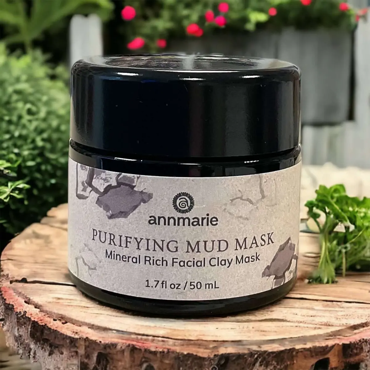 Purifying Mud Mask 50Ml - Annmarie Skin Care 1