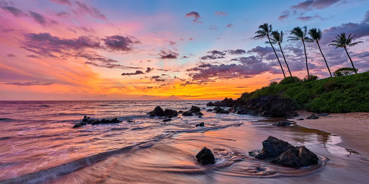 Lavender Blaze By Andrew Shoemaker 1