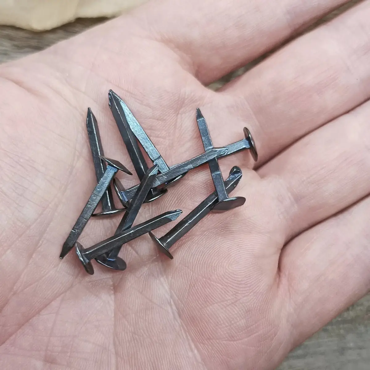 Steel Shield Rivets / Nails - Small 1