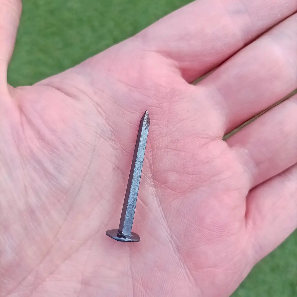 Steel Shield Rivets / Nails - Medium 3