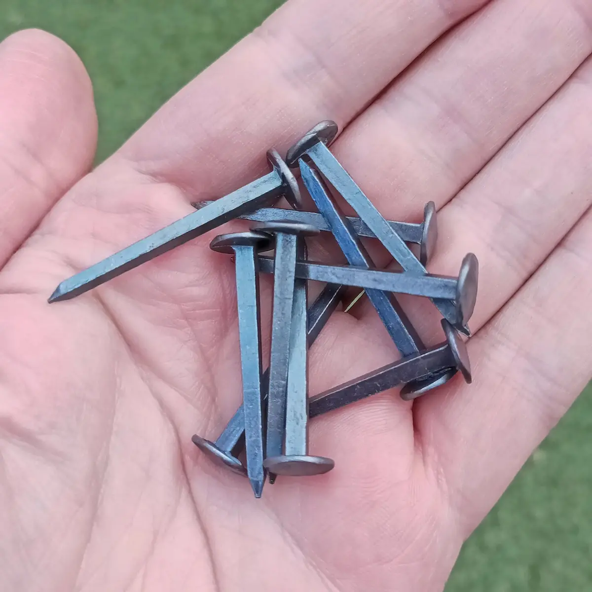 Steel Shield Rivets / Nails - Medium 3