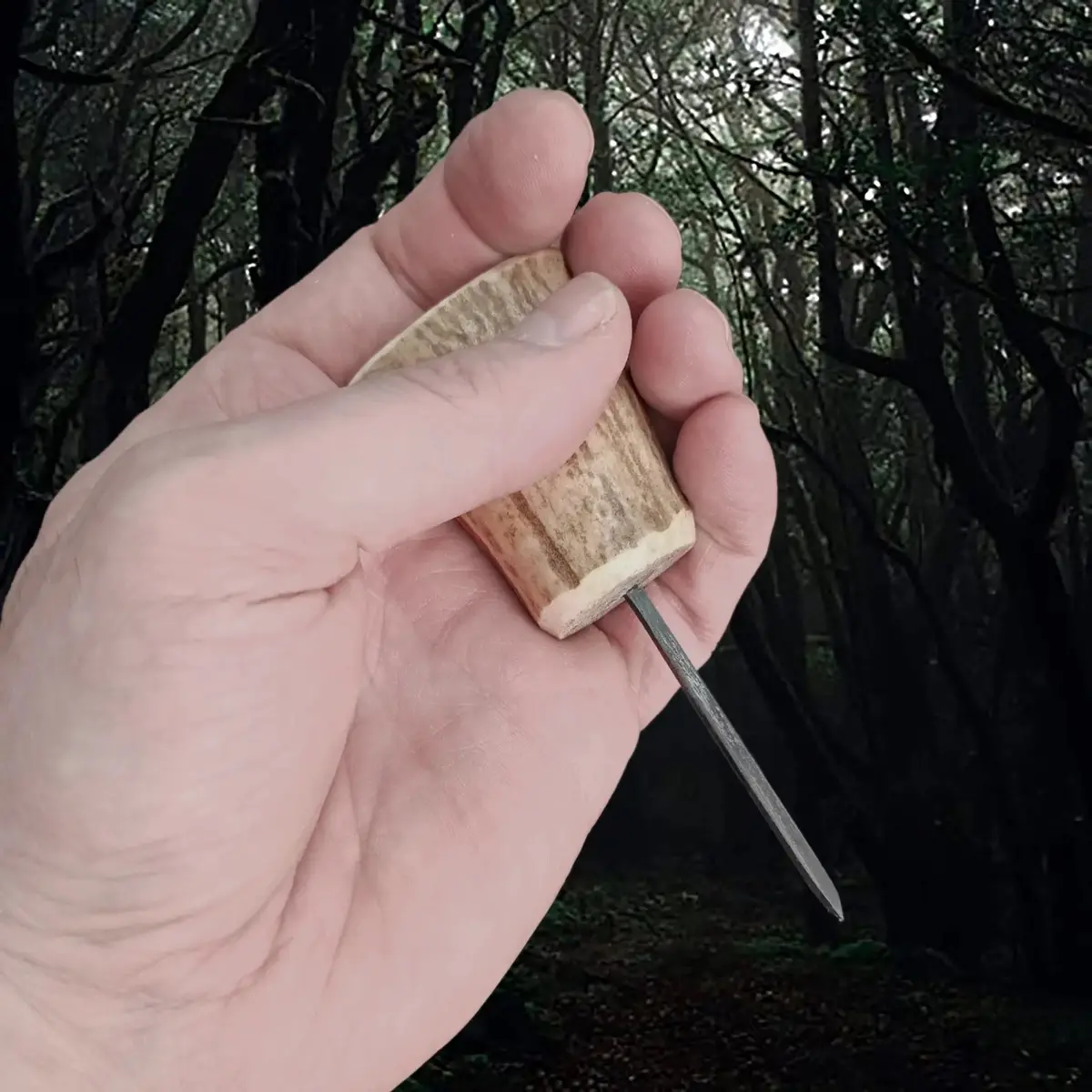 Awl With Antler Handle 1