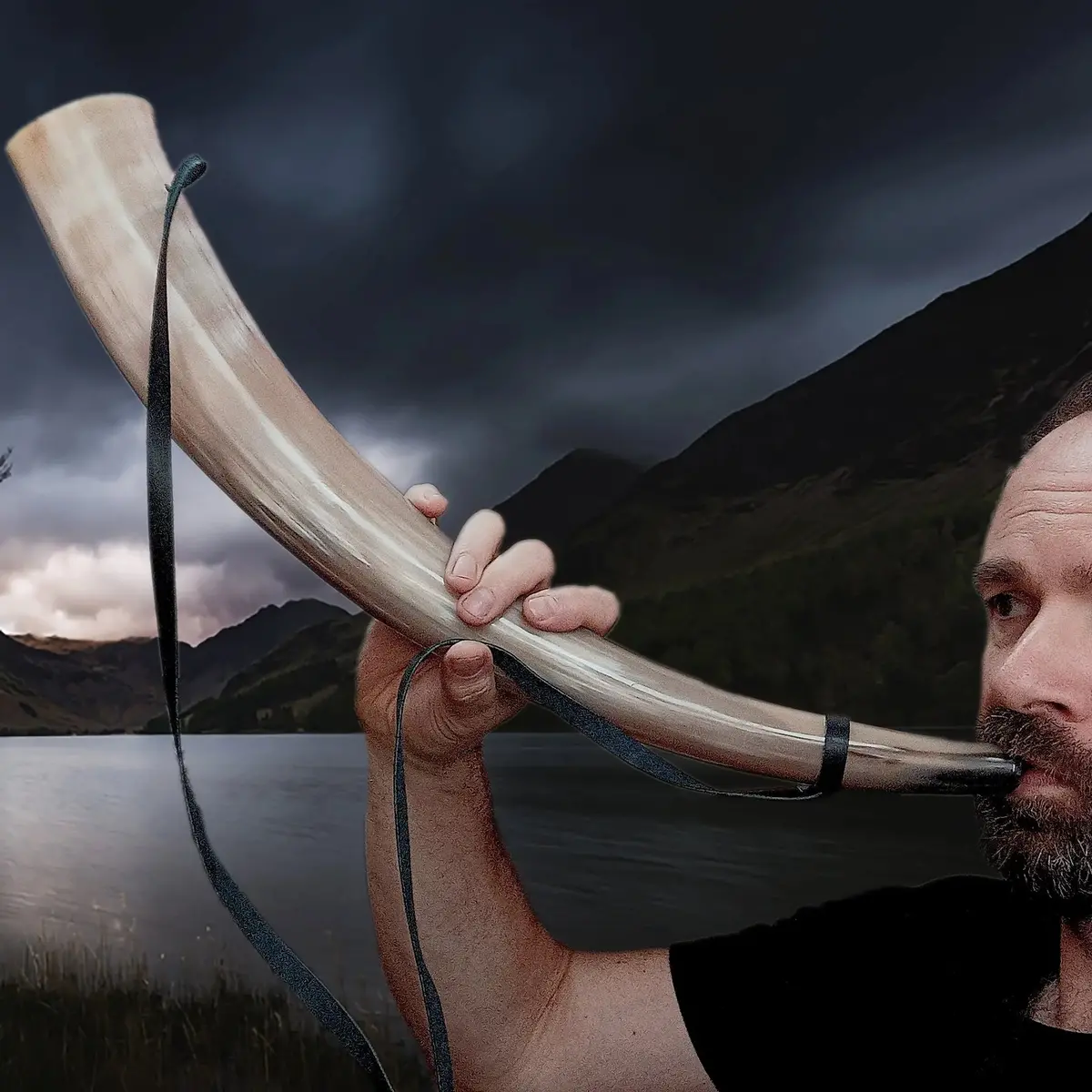 Large Polished Viking Blowing Horn / Bugle 1
